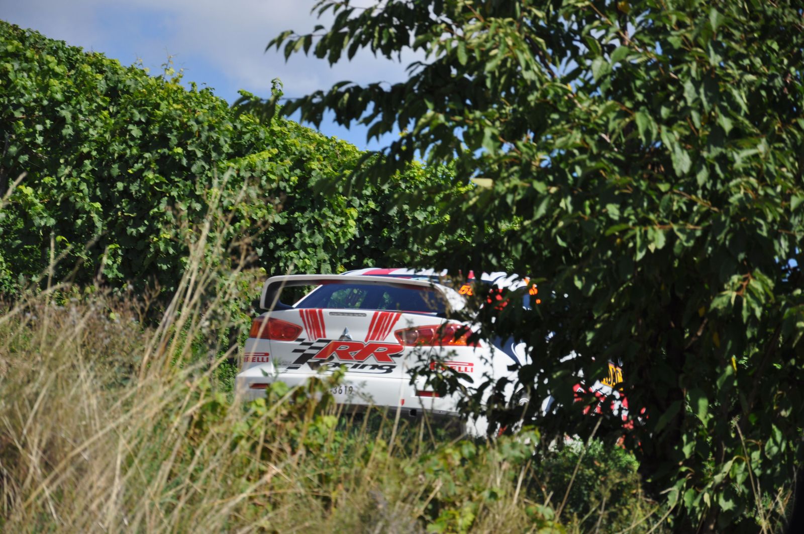 WRC-D 20-08-2010 085.jpg